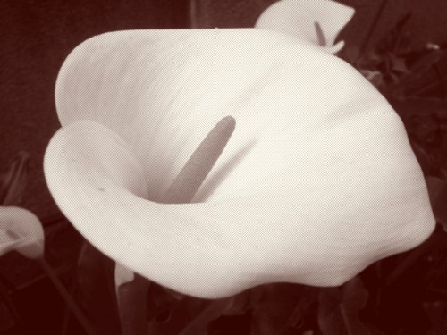 Media_httpjr3ofileswo_olfuh