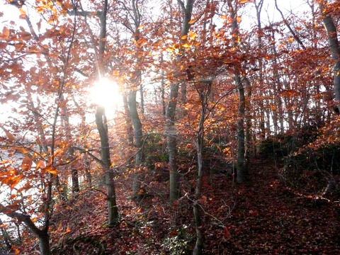 Media_httpwwwcasavari_afafe