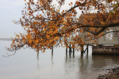 Media_httpwwwcasavari_egbgf