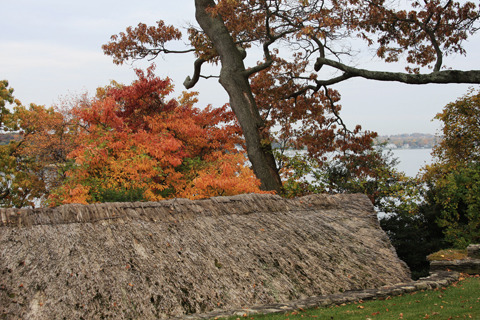 Media_httpwwwcasavari_hieid