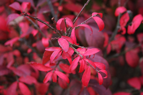 Media_httpwwwcasavari_kepjf