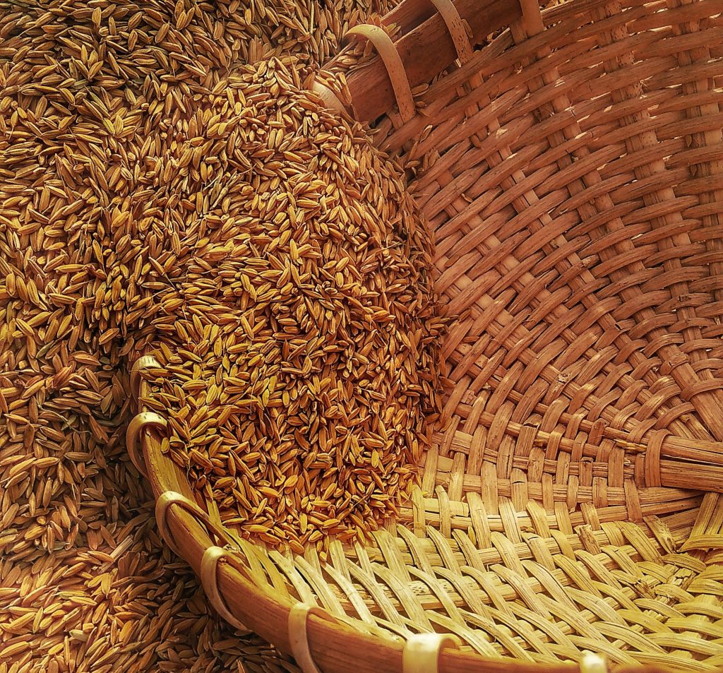 World Food Supply Under Threat from Environmental&nbsp;Factors