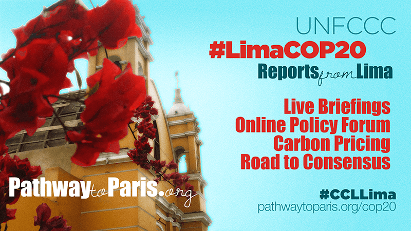 lima-cop20-v3