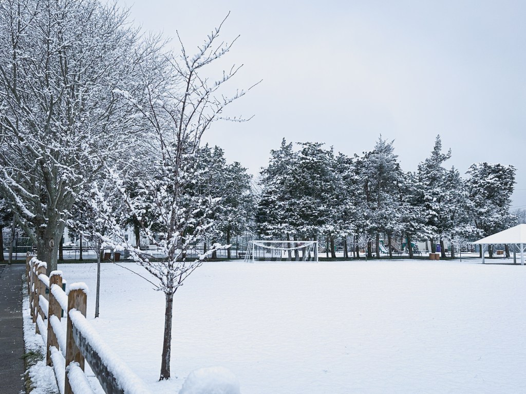 One morning, approaching&nbsp;winter