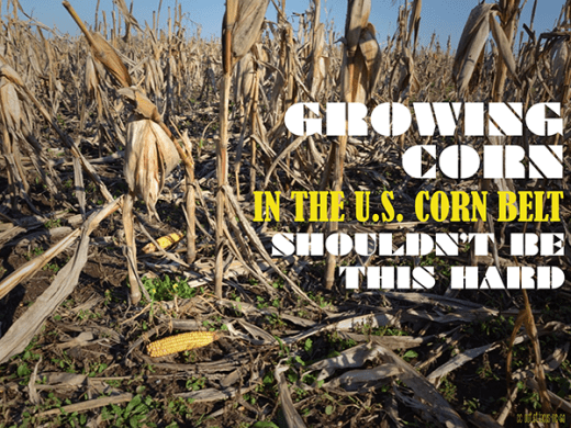 Growing Corn in the US Corn Belt Shouldn't Be This Hard