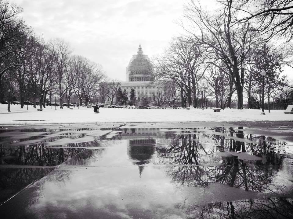 Reflection on Our&nbsp;Democracy