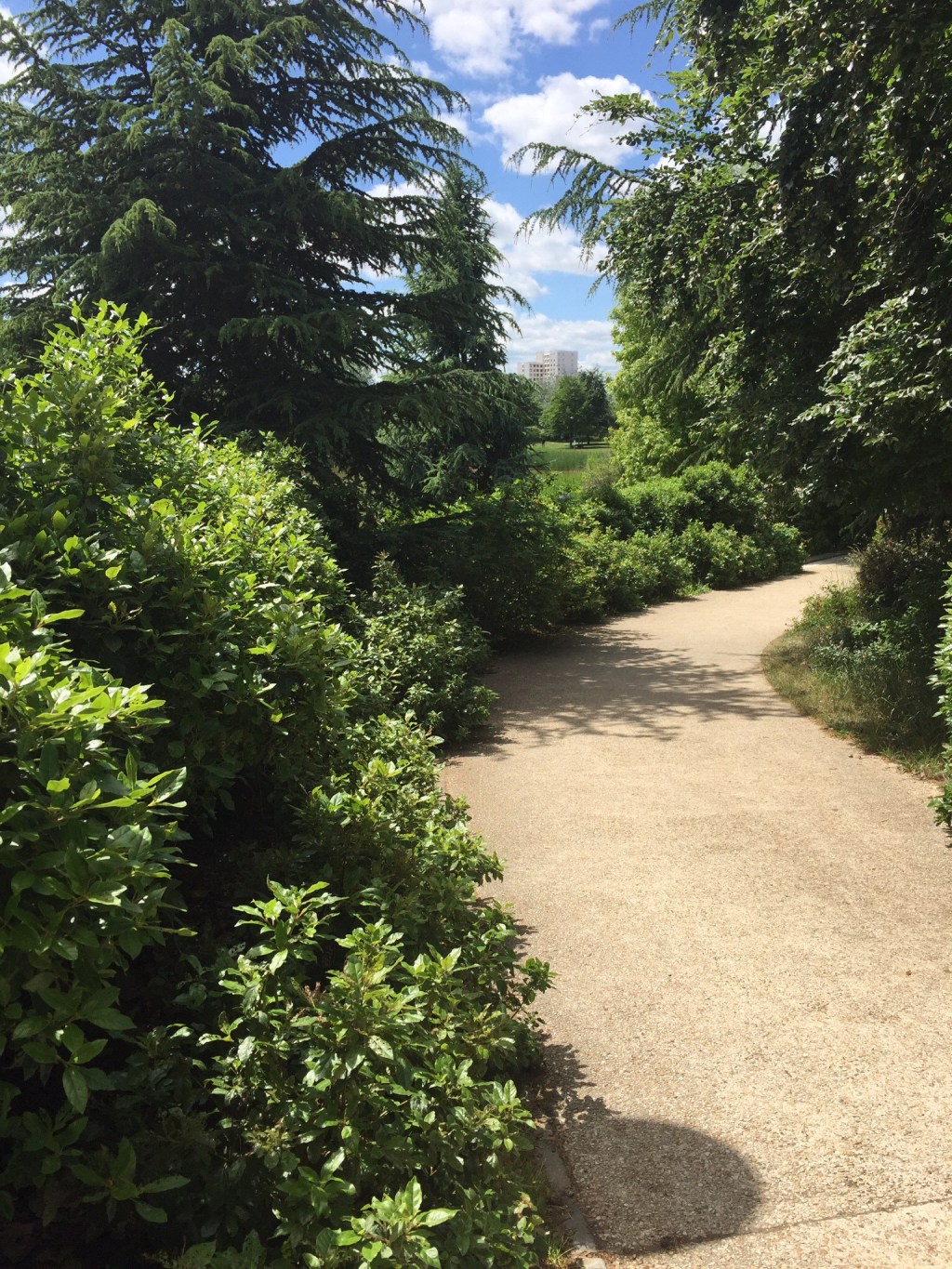 Pope Francis: Caring for Our Common&nbsp;Home