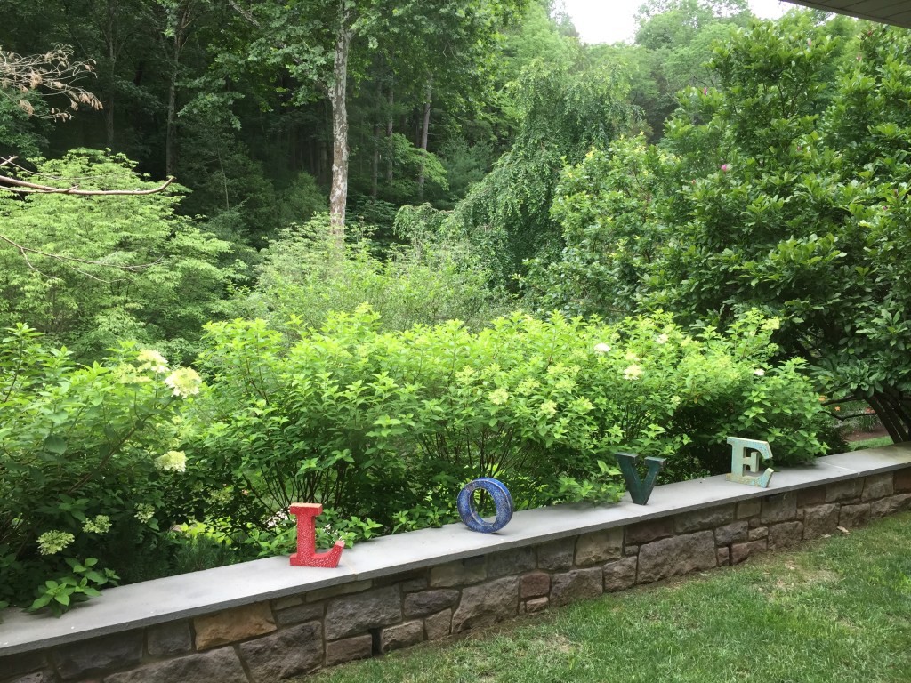 Integral Ecology is Integral&nbsp;Liberation