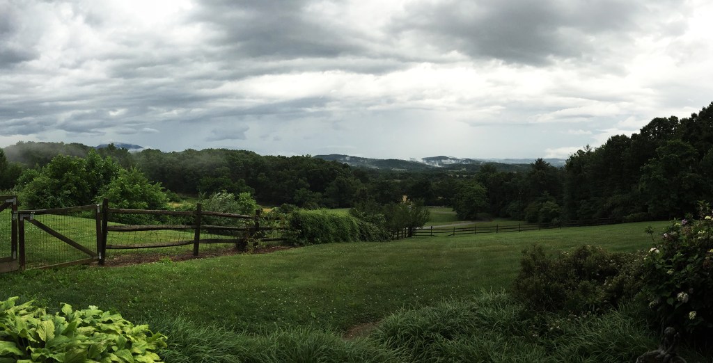 Macrocritical Value Generation: The Roots of Future&nbsp;Opportunity