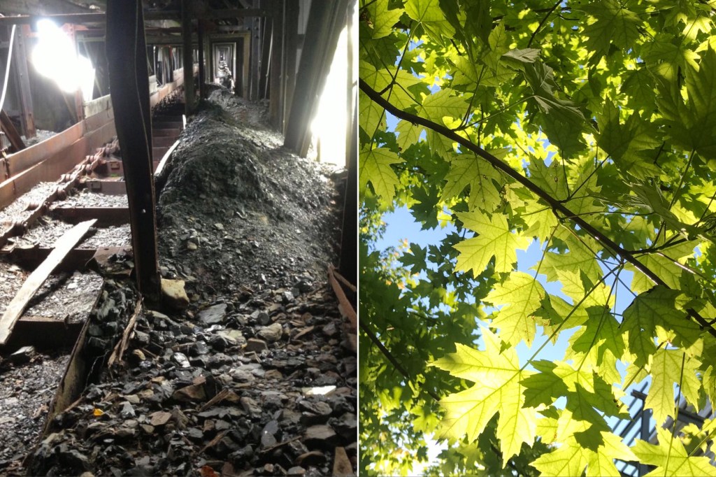 Paris: What is at&nbsp;Stake?