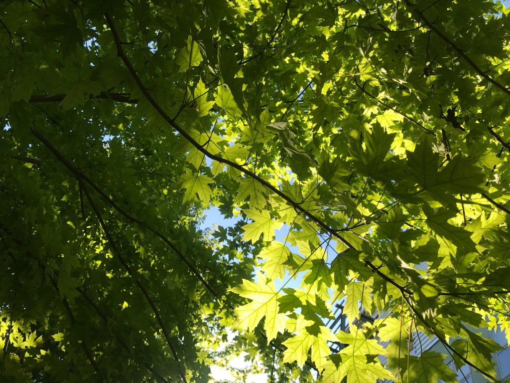 No Surrender: Paris is Now the People’s&nbsp;Business