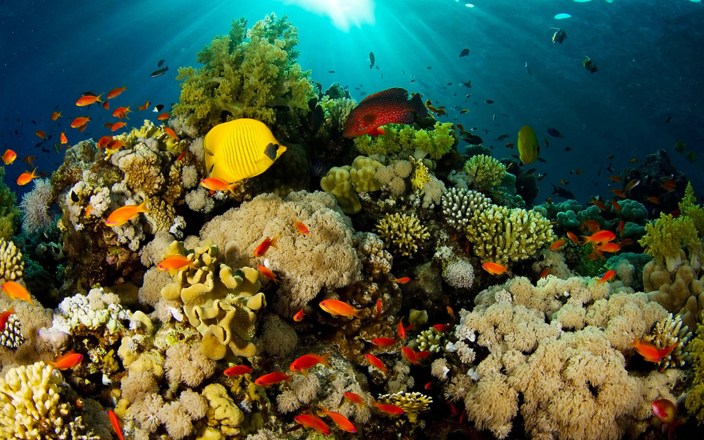 Geoversiv Commitment to Ocean&nbsp;Stewardship