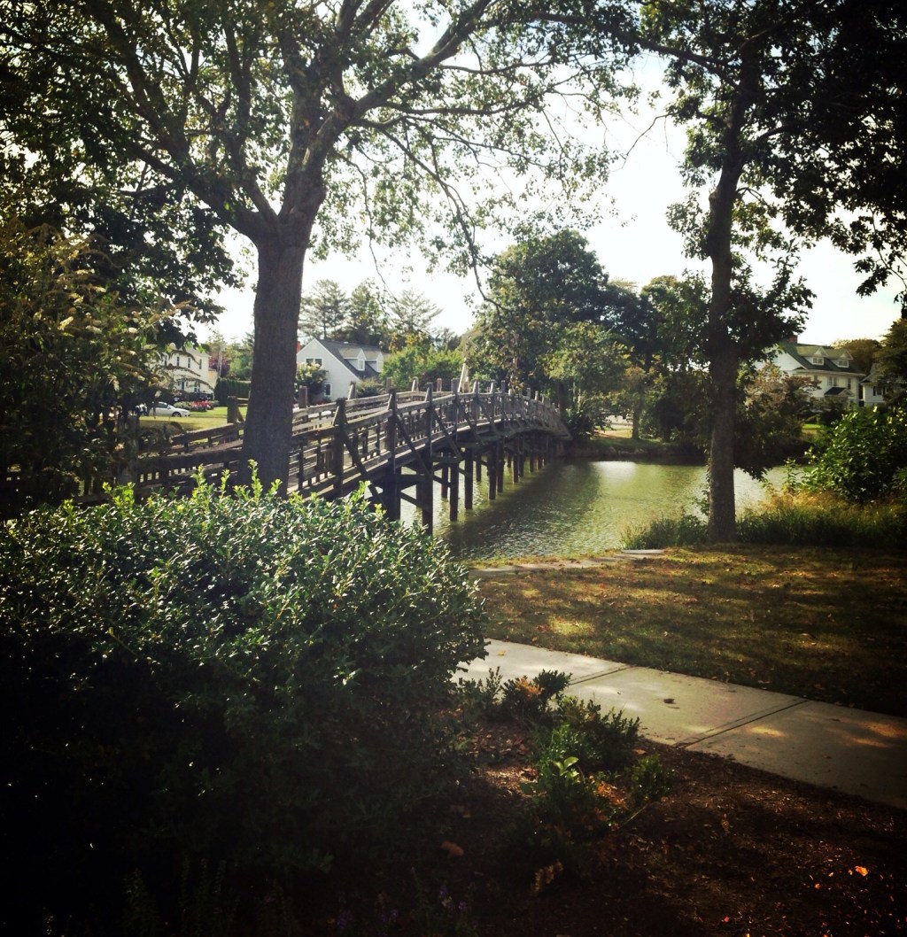 The Liberating Genius of Open&nbsp;Civics