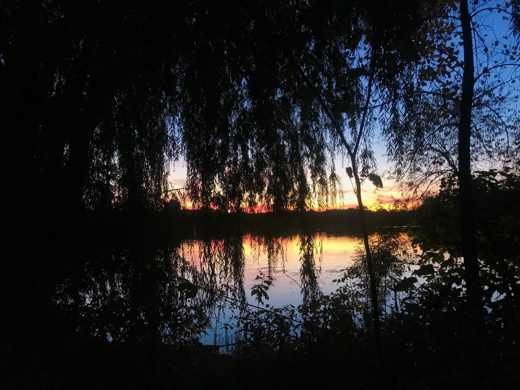 A Time for Wild&nbsp;Mercy