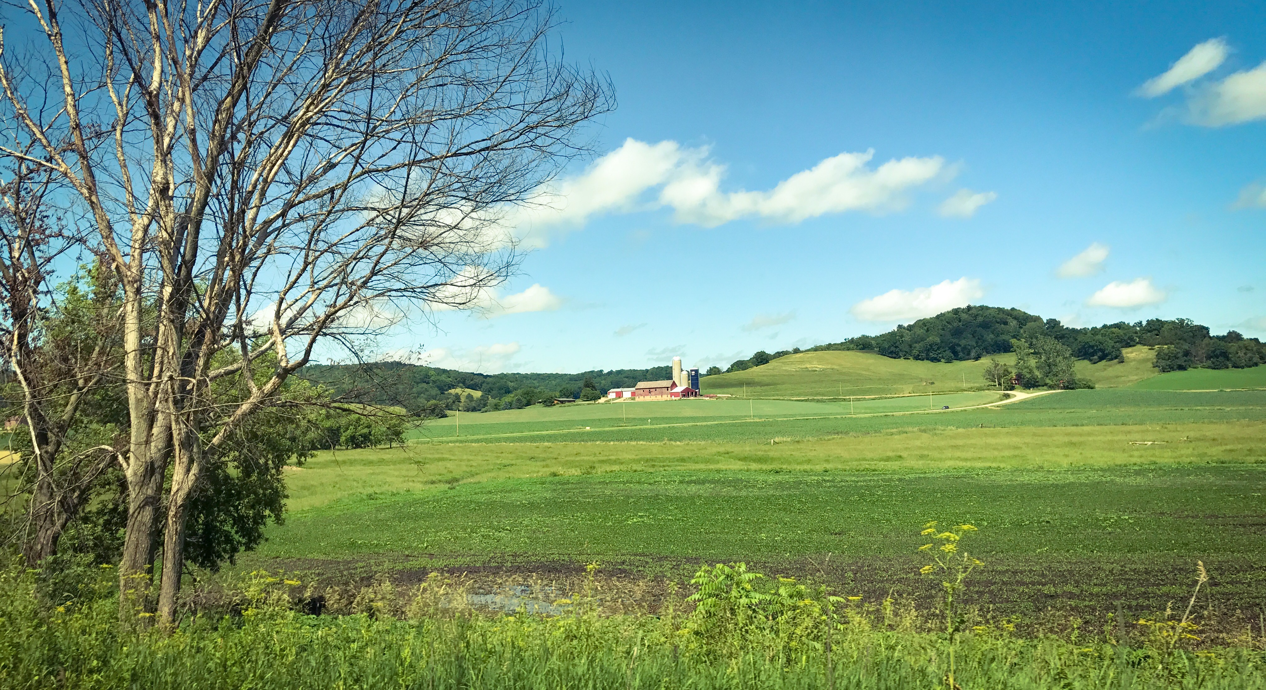 b9b6a6d3-21c1-4922-8545-fe7fa053d835