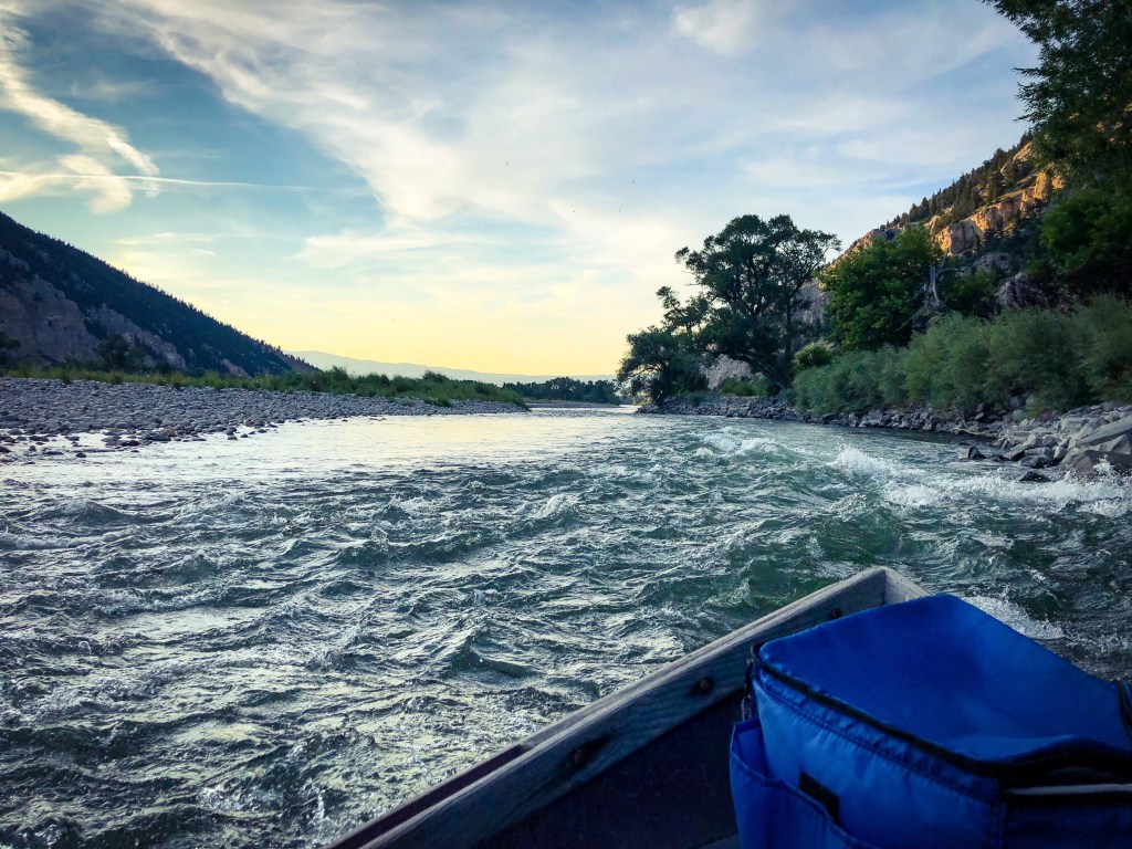 Make No-Nonsense Optimism the Spirit of&nbsp;2019