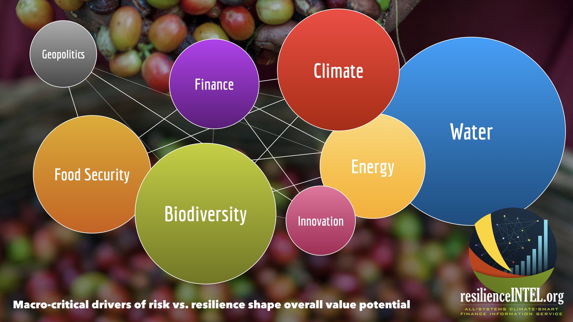3CF860ED-EADB-4B94-BB90-A8D4470B3FB2