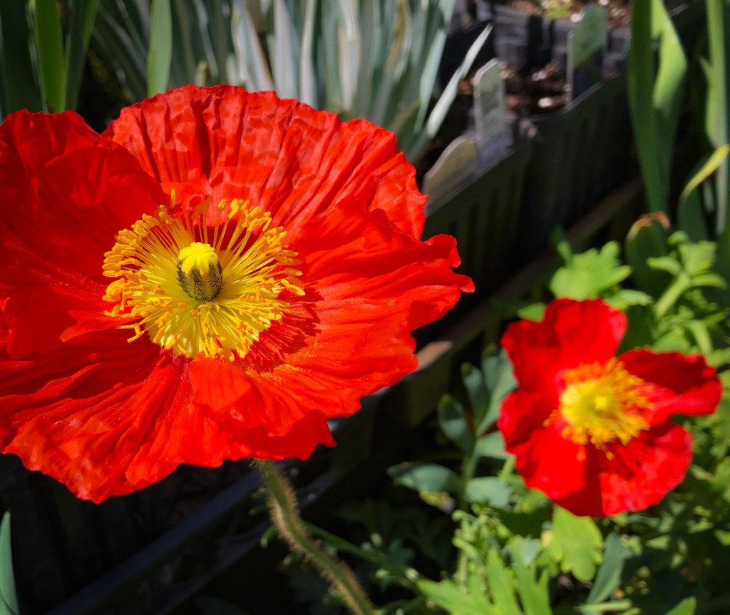 Weathering: Climate Change & ‘Thick&nbsp;Time’