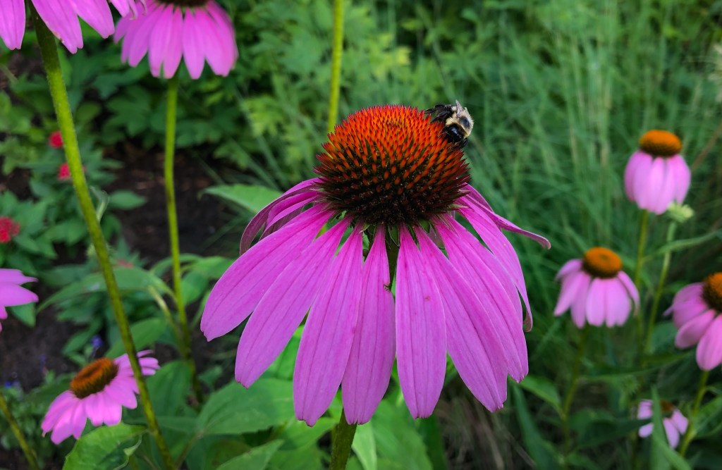 Land use could shape all our future&nbsp;possibilities