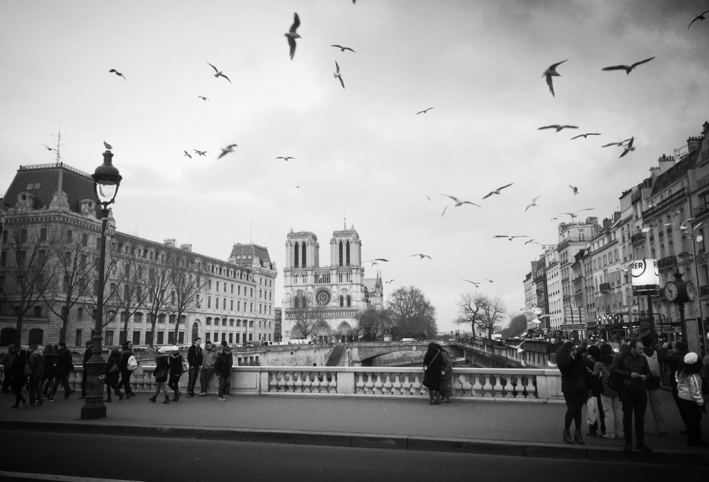 Paris Agreement withdrawal is senseless &&nbsp;wasteful