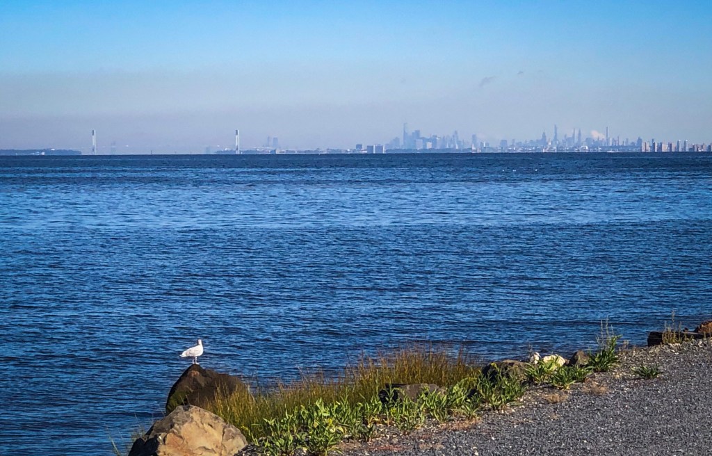 Clipped Wings: Trump Tax Cuts Slow New Income to Main&nbsp;Street