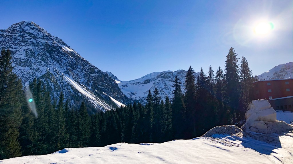 Shift Incentives to Transform the Food&nbsp;System