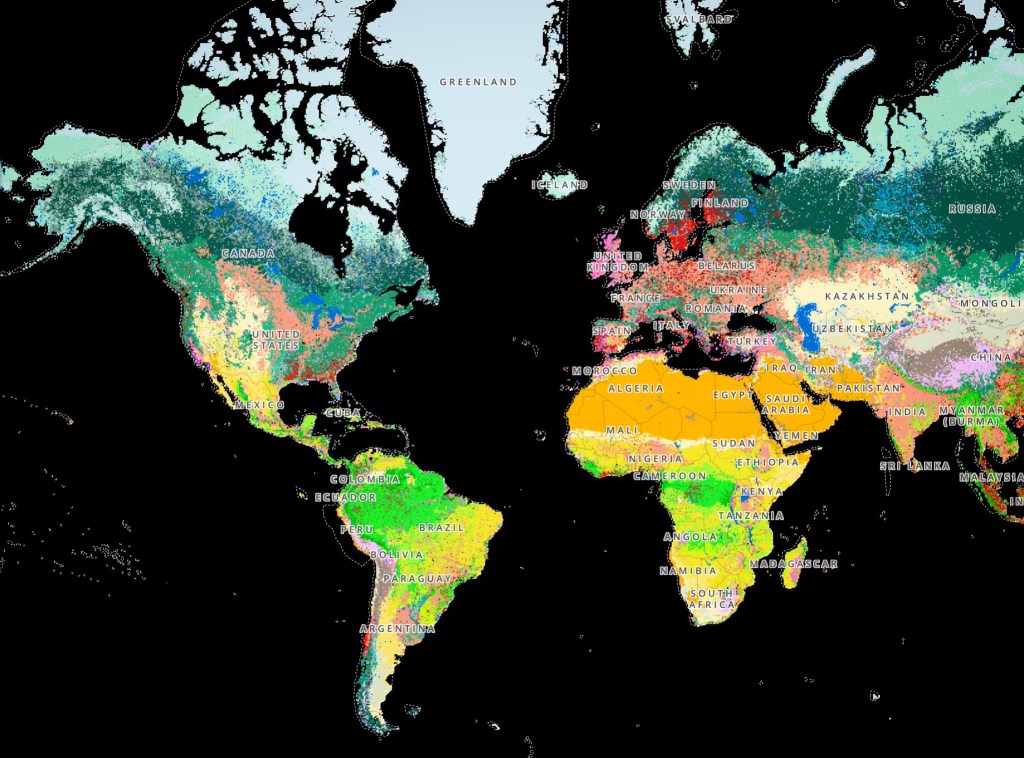 Call to Action on Planetary&nbsp;Emergency