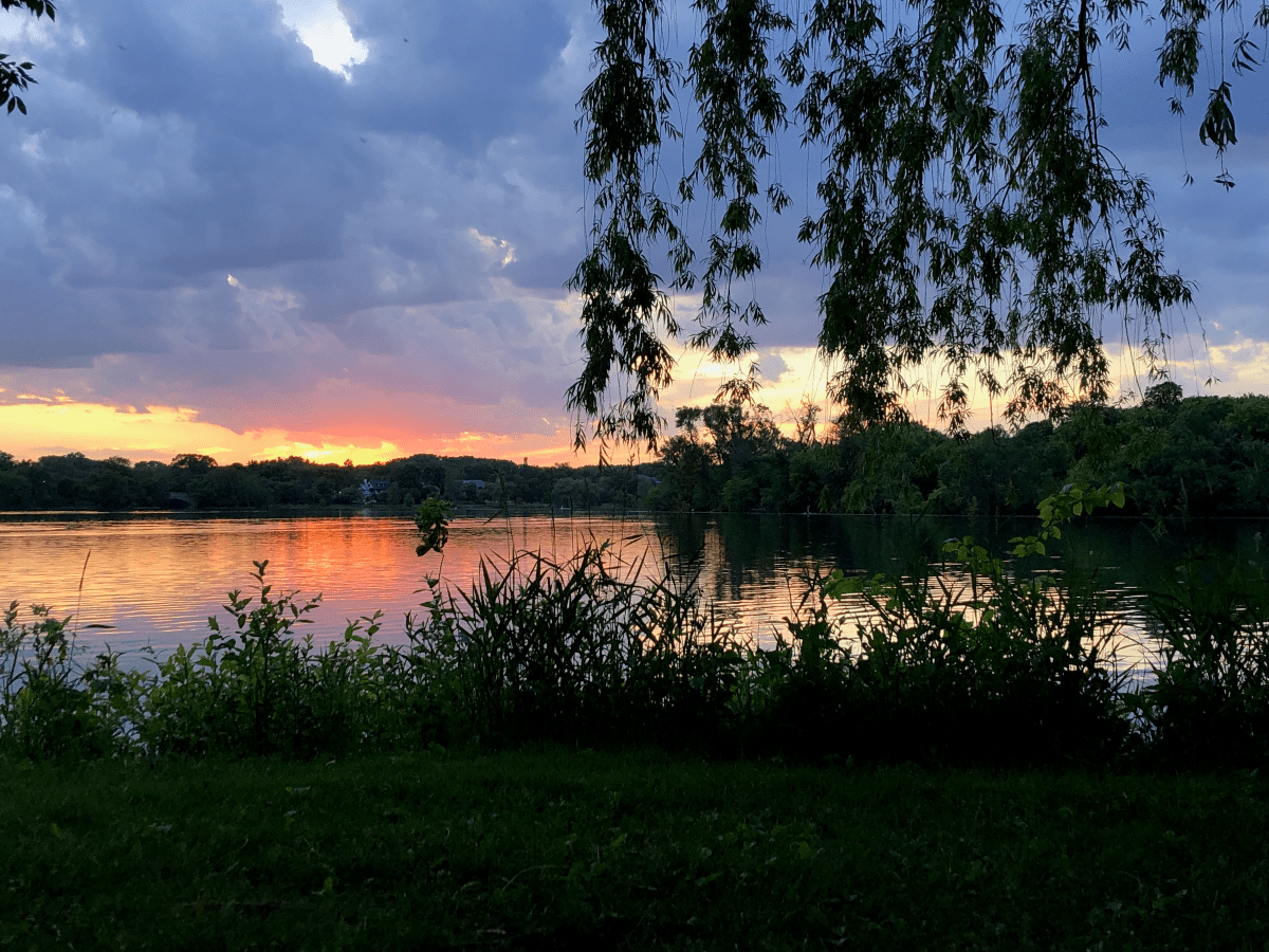 Deep ecology is the structure of&nbsp;reality