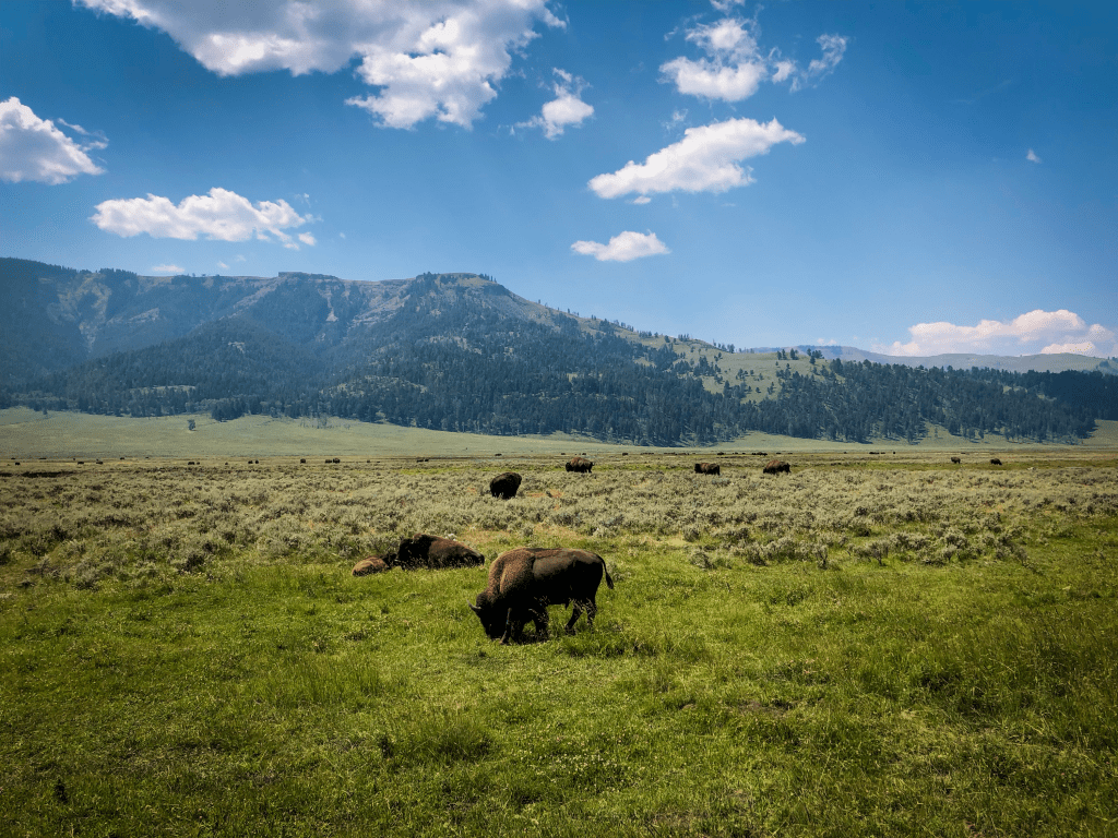 Harm is harm; habitat must be&nbsp;protected