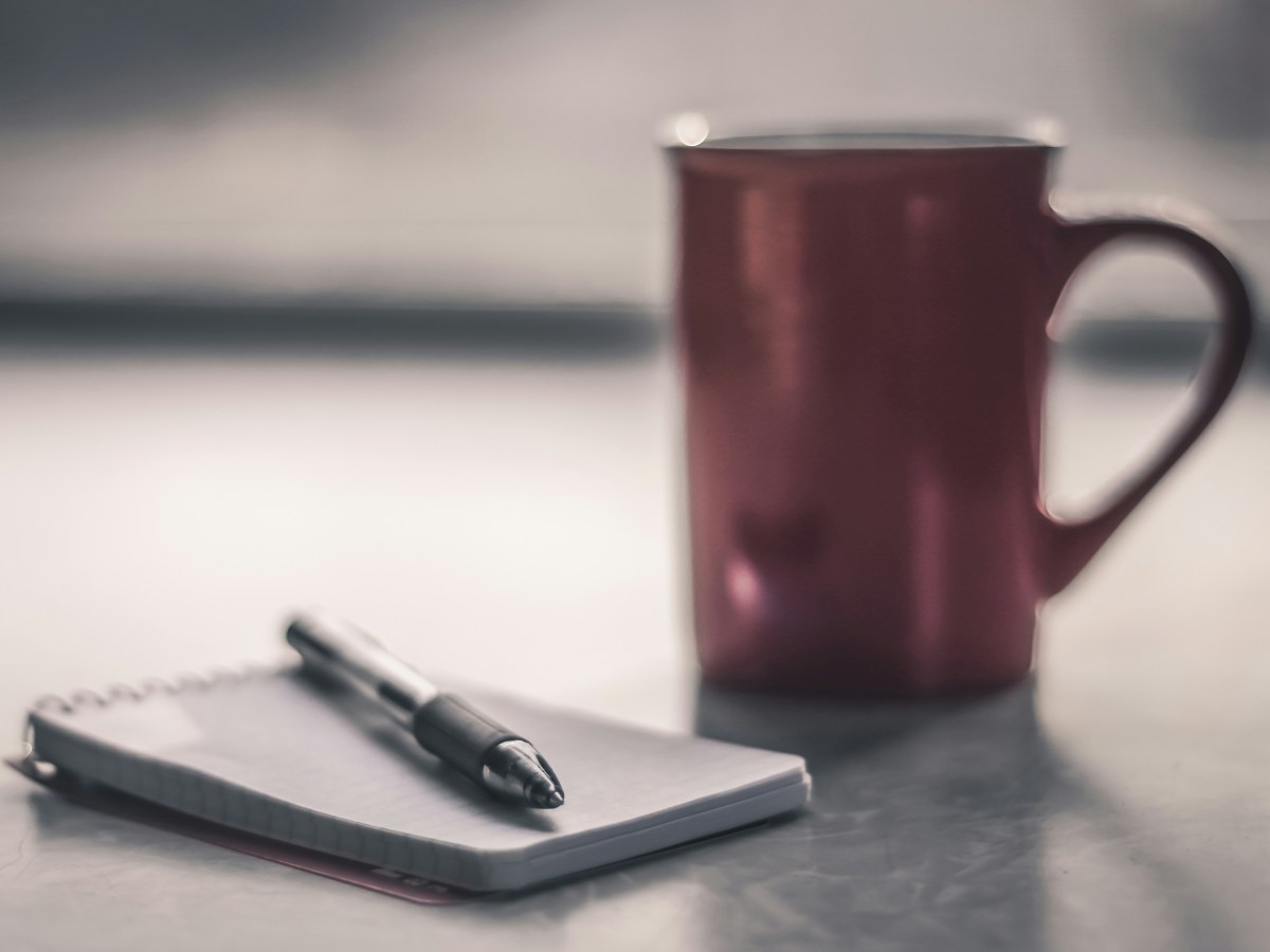 Navigator Year 1: Data, climate, democracy, rights & a livable&nbsp;future