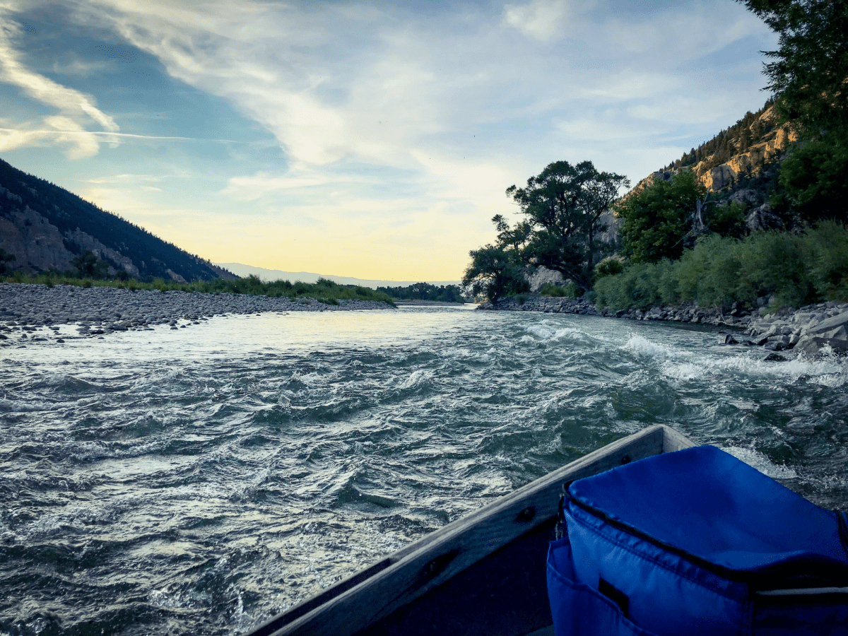 Government has an implicit duty not to aid&nbsp;polluters