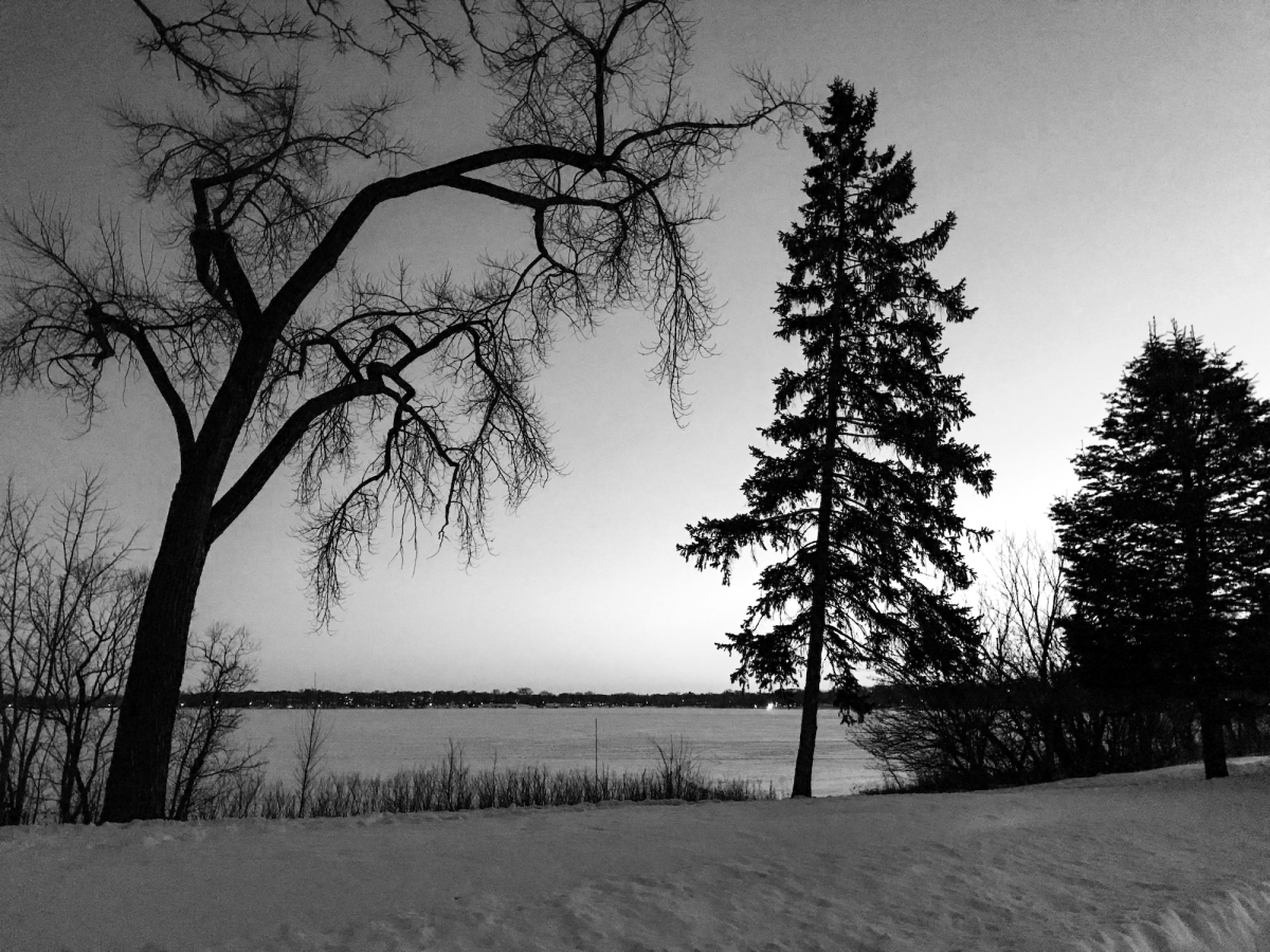 Menace is incompatible with&nbsp;freedom