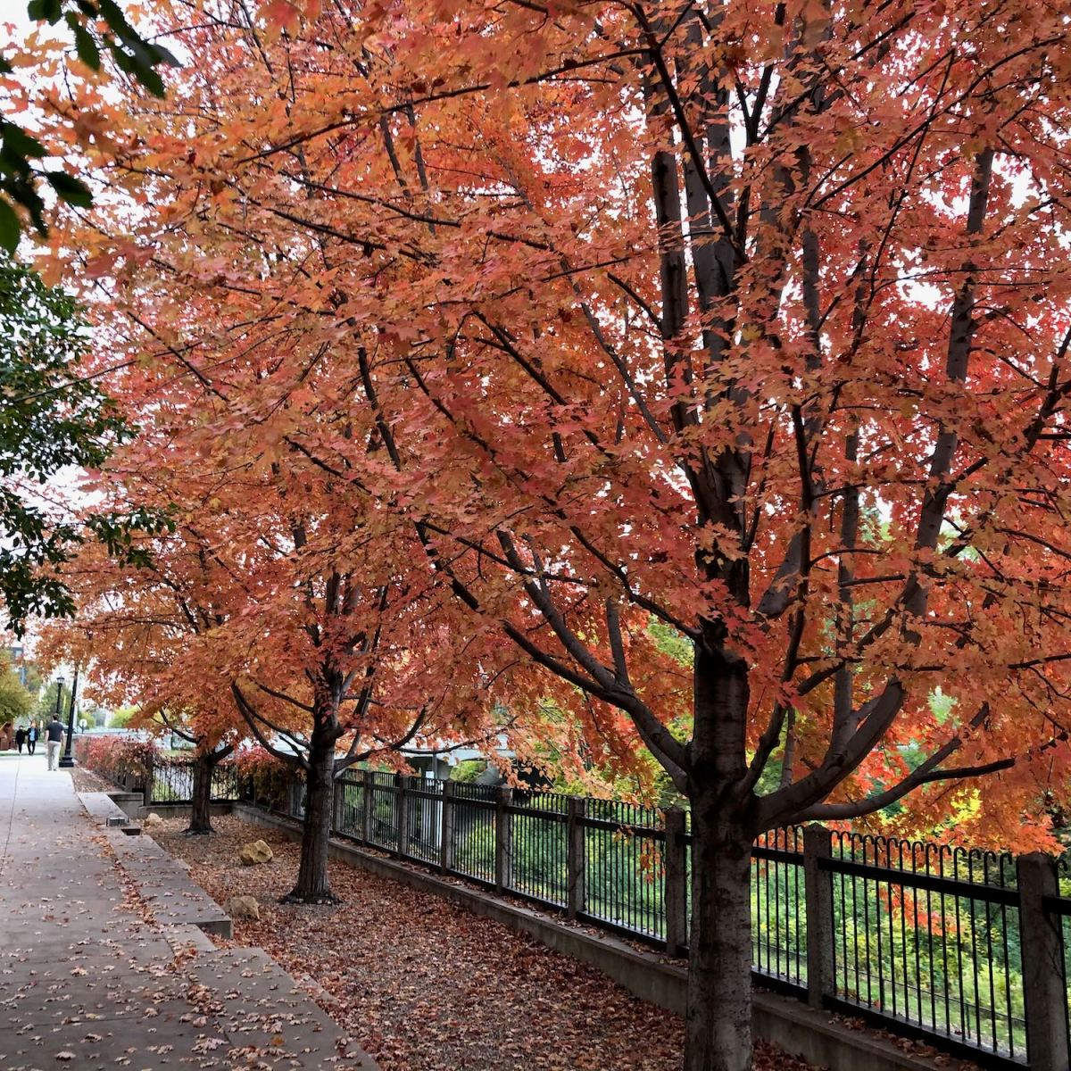 Leading locally just got much more&nbsp;important